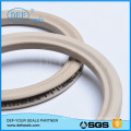 Spring Energized Seals for Industrial From China